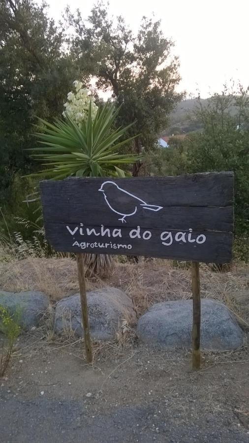 Вилла Vinha Do Gaio Montes de Cima Экстерьер фото